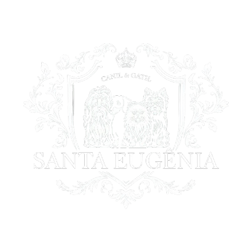 Santa Eugenia removebg preview